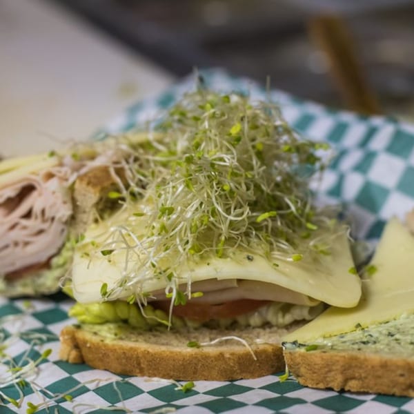 A deli sandwich with turkey, cheese, lettuce, tomato, and a large pile of sprouts on whole wheat bread.